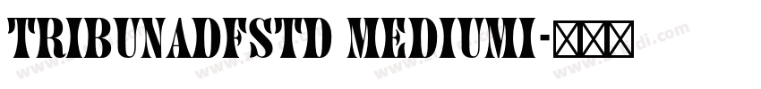 TribunADFStd MediumI字体转换